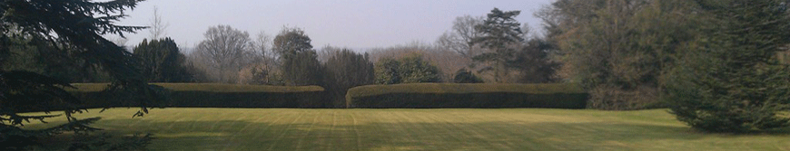 essex gardening services