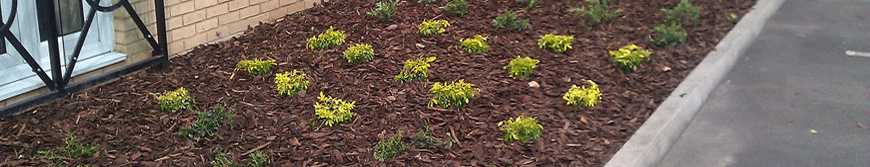 essex gardening services