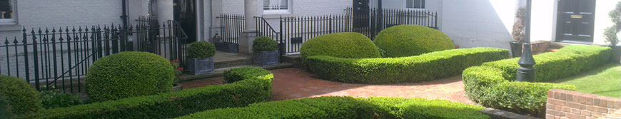 grounds maintenance